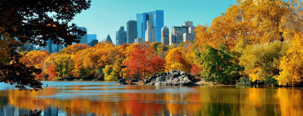 Central Park fall colors and midtown Manhattan skyscrapers.