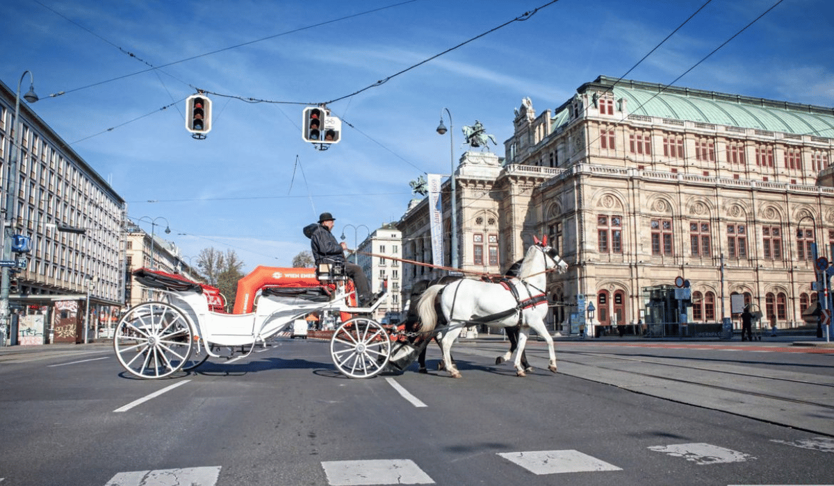 Horse-drawn carriage, Vienna State Opera